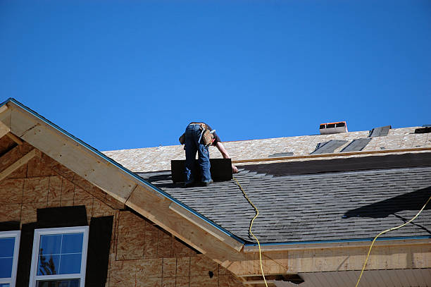 Best Roof Gutter Cleaning  in Benwood, WV